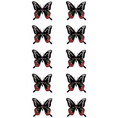 �^�g�D�[�V�[���@��