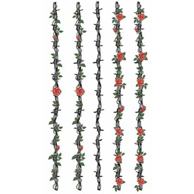 �^�g�D�[�V�[���@�K�N�̓S���