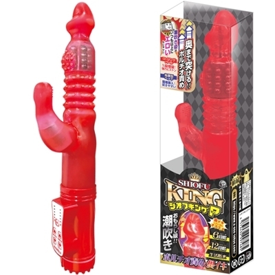 �V�I�t�L���O�@�i�o�j