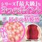 �P�V�q�����������i�Z�u���e�B�[���@���A���e�B�j